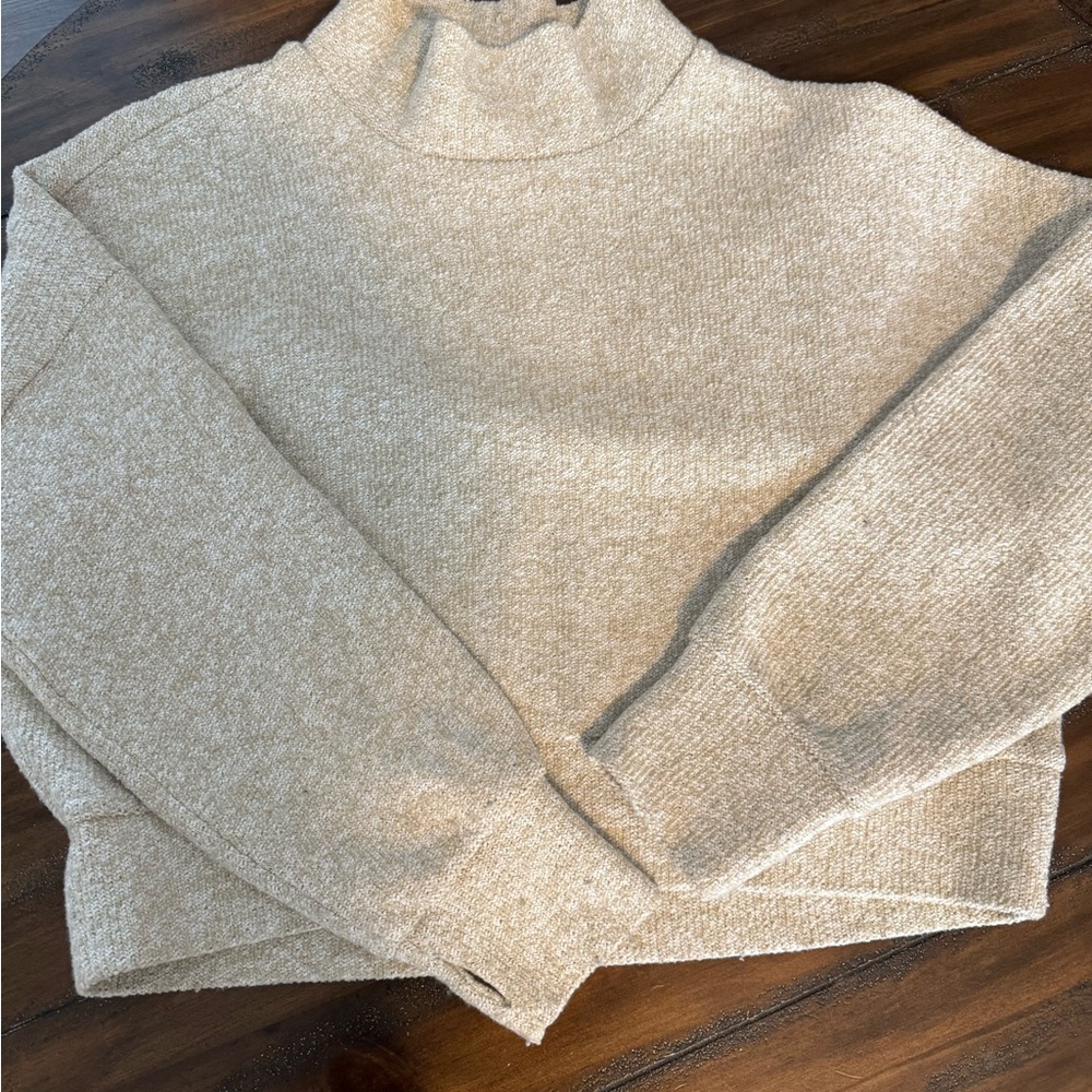 Aerie Soft Beige Turtleneck Sweater